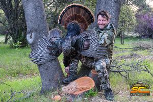 Roy's 2021 California Rio Grande Gobbler